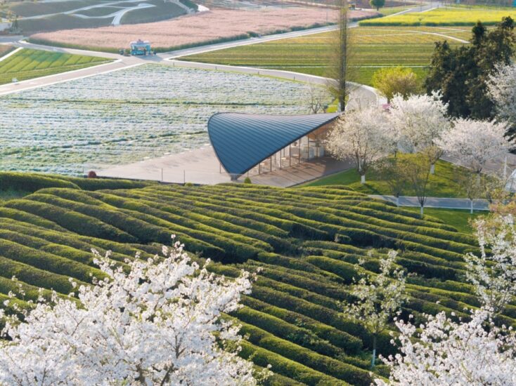 上海可方思|浙江花田美地一叶咖啡厅