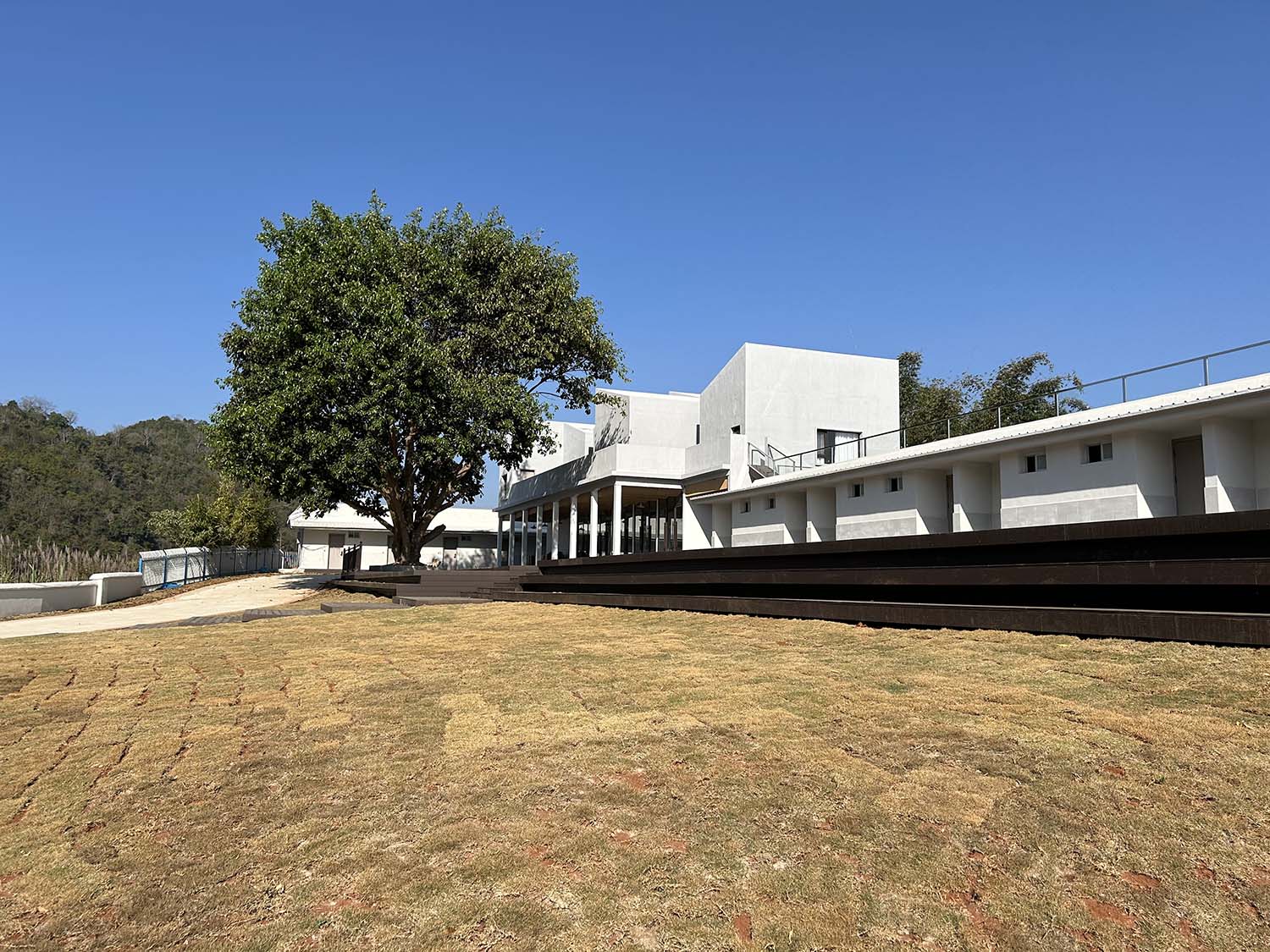 建筑改造,咖啡研学空间,民宿改造,小学改造,多功能空间,公共空间改造,云南普洱改新村乡村振兴配套基地,云南普洱,平介设计,杨楠