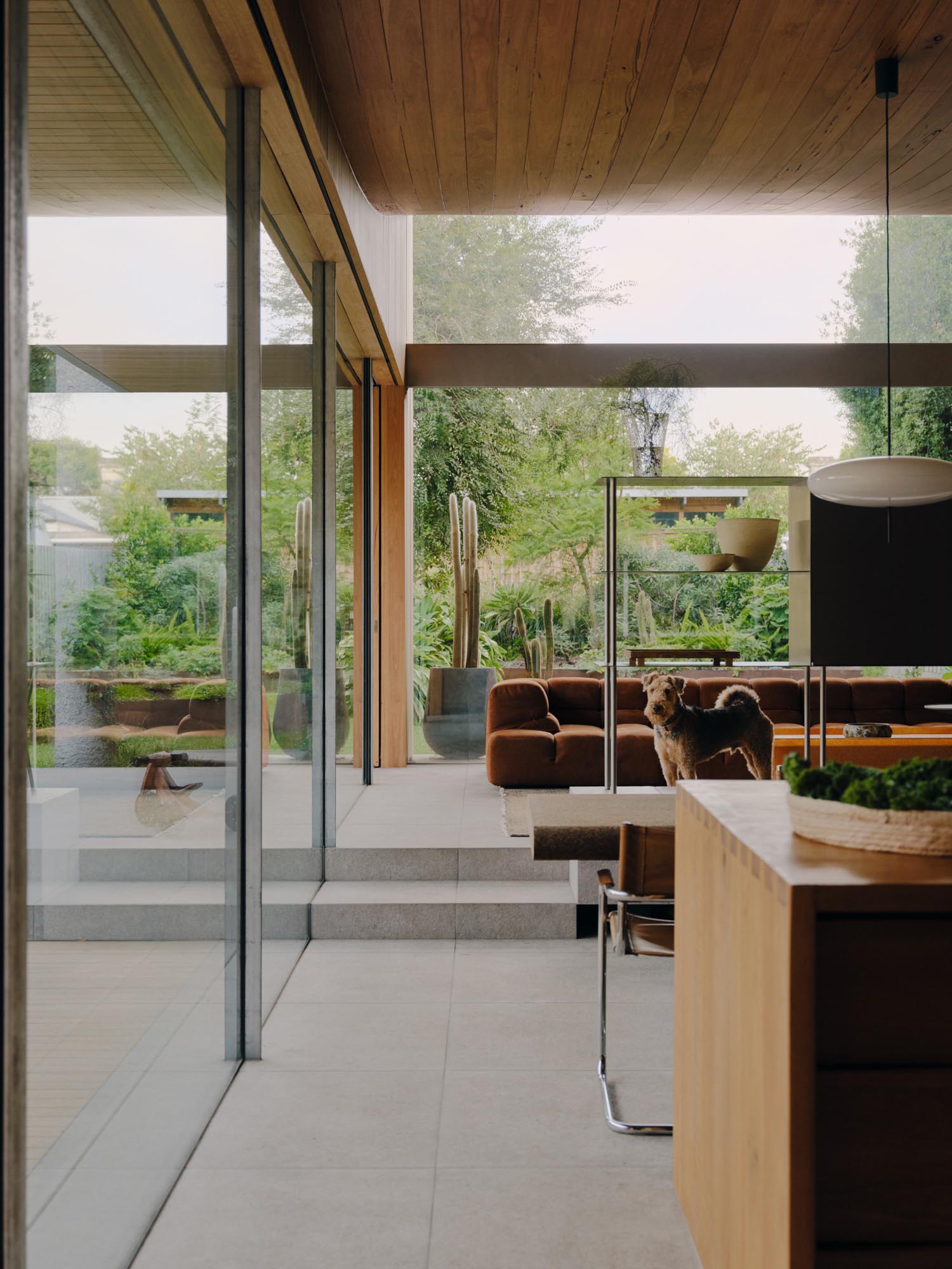 Cera Stribley,别墅设计,别墅设计方案,别墅设计案例,庭院别墅,墨尔本