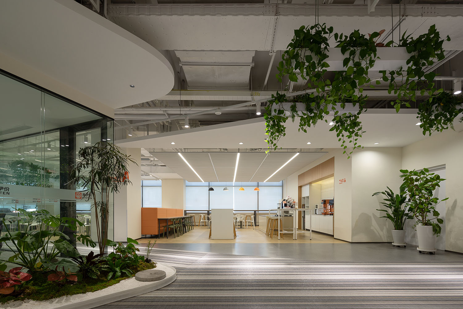 办公室设计,企业总部设计,企业总部办公室,创意办公室设计,森系办公室,办公室设计案例,办公室设计方案,开放式办公室,上海来伊份管理总部:以人为本的森系乐园,上海,筑掣科技