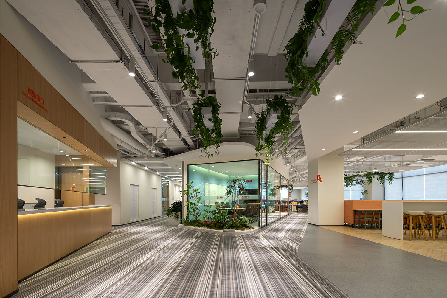 办公室设计,企业总部设计,企业总部办公室,创意办公室设计,森系办公室,办公室设计案例,办公室设计方案,开放式办公室,上海来伊份管理总部:以人为本的森系乐园,上海,筑掣科技