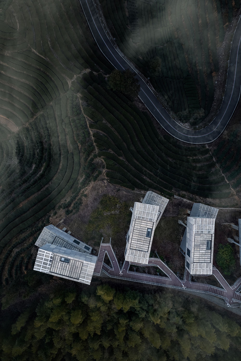 民宿设计,酒店设计,度假酒店设计,民宿酒店,丽水酒店,设计酒店,酒店设计案例,酒店设计方案,云雾仙县-探秘JI SEASON乐领万亩茶海,浙江丽水,SUPER TOMATO超级番茄