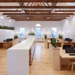 墨尔本Birkenstock(勃肯)总部办公室