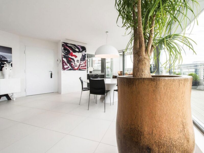 比利时景观阁楼