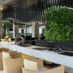 泰国Botanica Khao Yai 度假村