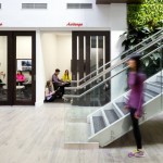 露露柠檬专业体育用品公司办公室