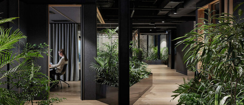 澳大利亚平和自然氛围的办公室设计