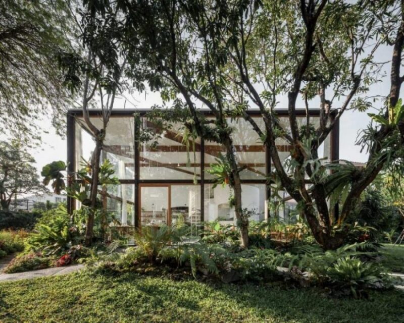 泰国林中有机生态玻璃屋设计