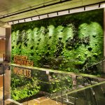 土耳其烟草公司总部办公室设计