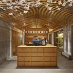 “樱花树”下的寿司吧