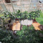 一个工作与居住的地方，一种沉浸于植物的用餐体验