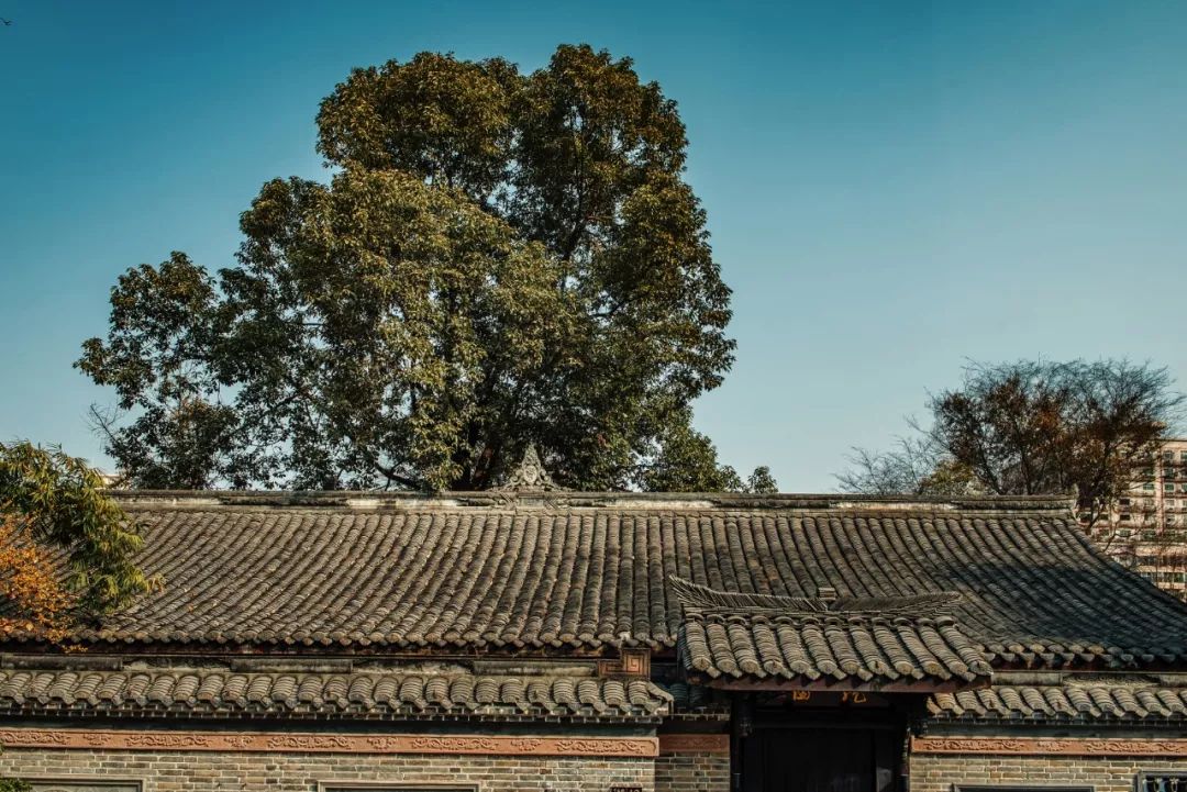 建筑改造，改造空间，精品酒店设计，成都上喜龙园四合院酒店，精品民宿设计，设计酒店