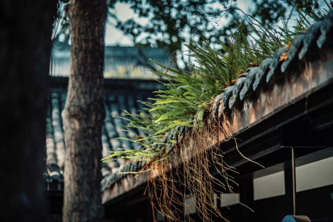 建筑改造，改造空间，精品酒店设计，成都上喜龙园四合院酒店，精品民宿设计，设计酒店