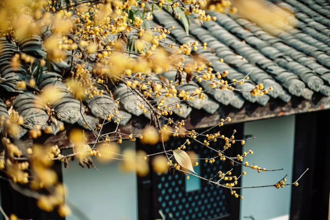 建筑改造，改造空间，精品酒店设计，成都上喜龙园四合院酒店，精品民宿设计，设计酒店