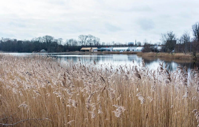 哥本哈根全球最佳餐厅Noma2.0全新回归