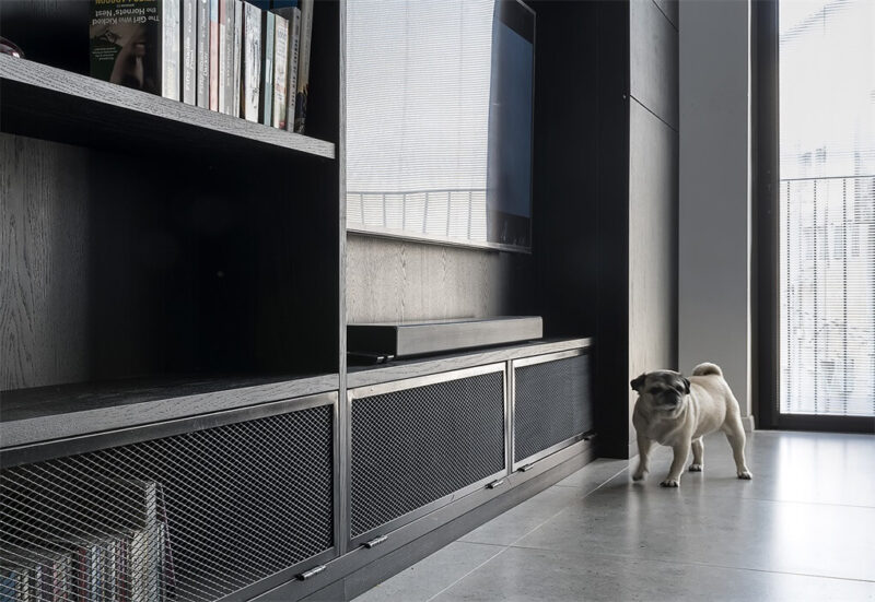 特拉维夫44㎡两人一狗的幸福之家