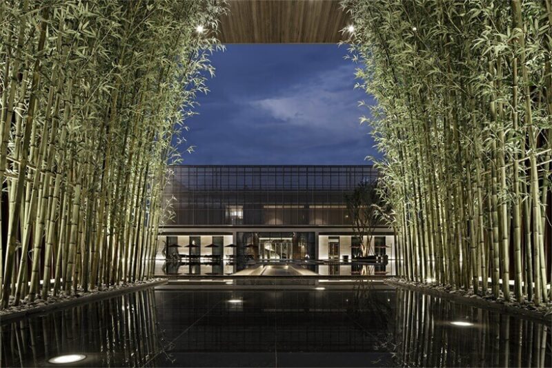 集艾设计 | 荧光天穹，超越时空的非凡艺境