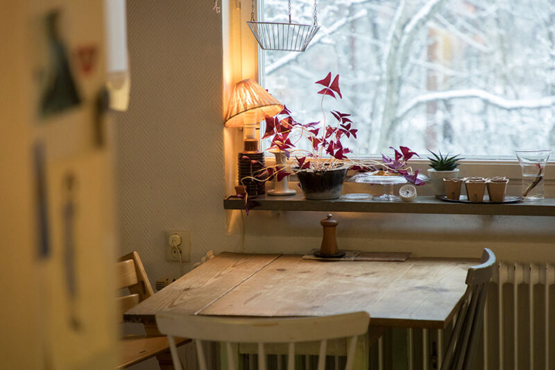 模糊了工艺与艺术之间的界限：玻璃艺术家的房子