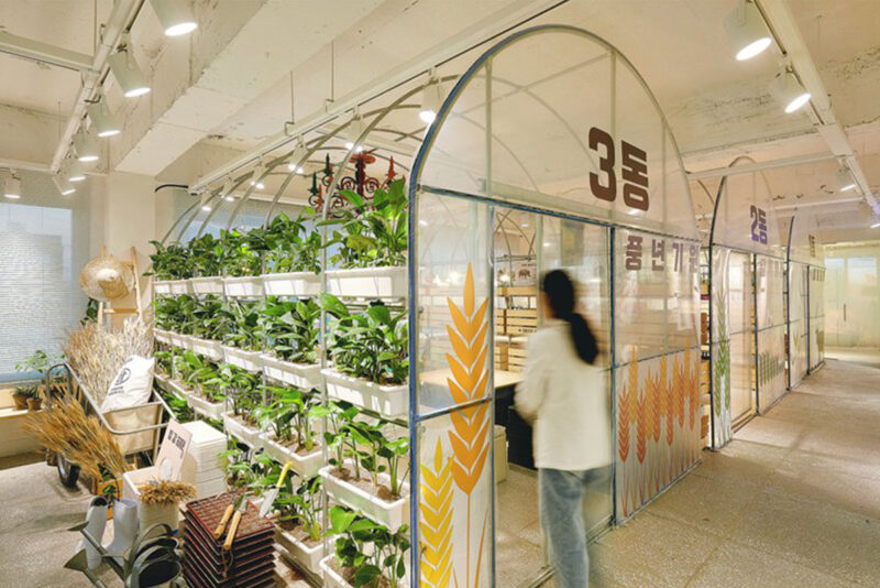 m4 | 韩国温室里的设计工作室