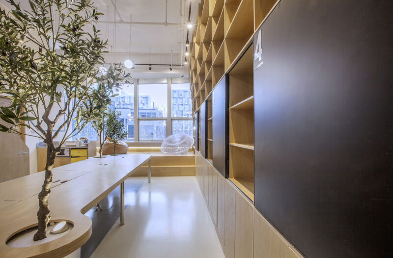 堂晤设计 | 牛在墙上飞，猴子树梢醉-TOWO