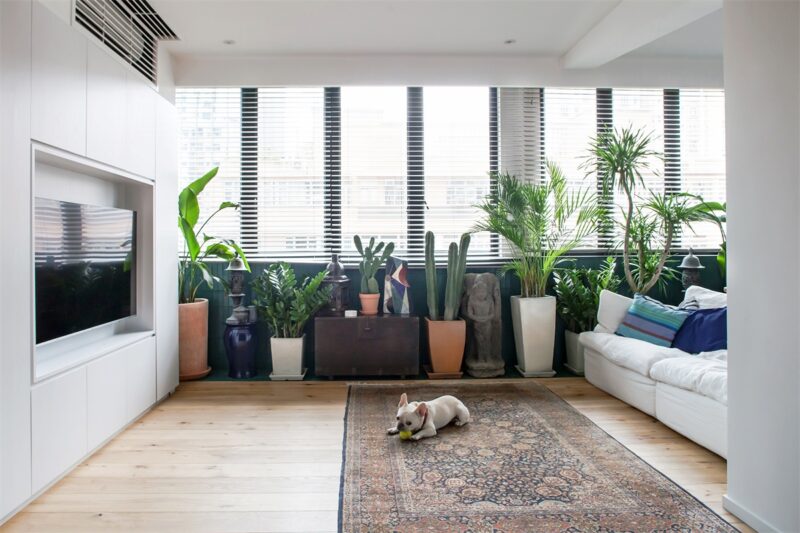 lim + lu | 香港某废弃公寓改造宁静绿洲