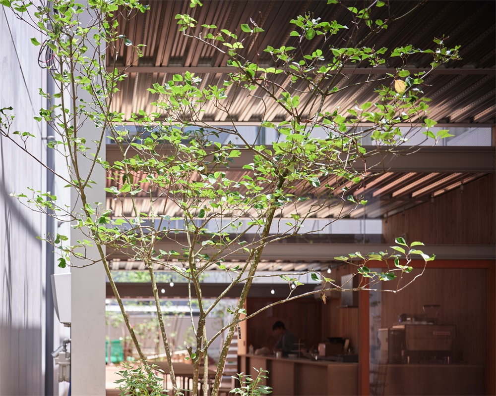 建筑改造，城市更新，公共空间，Yabashi architects