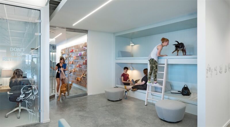 NBBJ | 与宠物一起上班，哥伦布Bark办公室