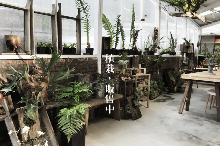 空气图书馆， 嘉义空气图书馆，图书馆复合式餐厅，图书馆设计，新商业设计