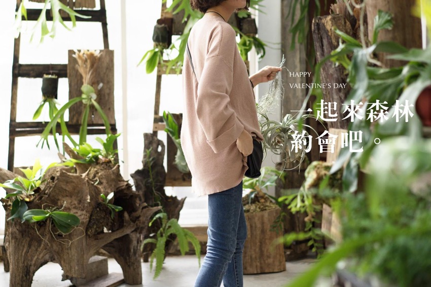 空气图书馆， 嘉义空气图书馆，图书馆复合式餐厅，图书馆设计，新商业设计