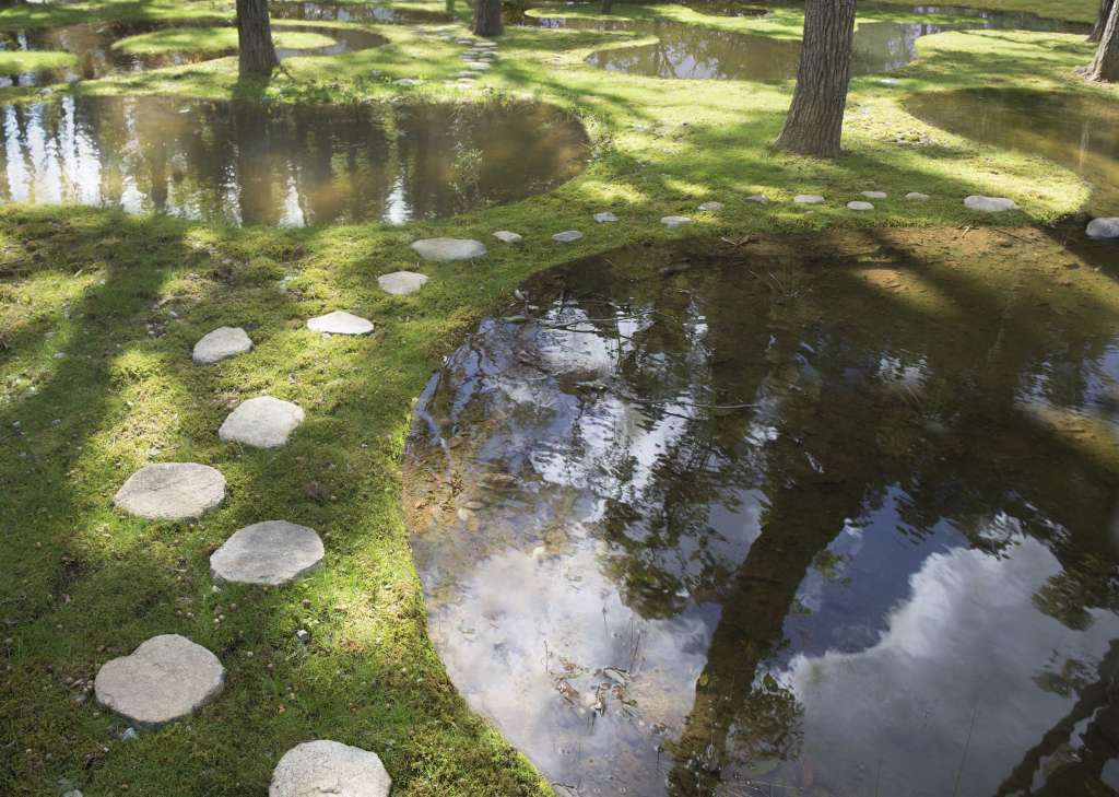 石上纯也，日本栃木县水上公园，建筑边界，junya.ishigami + associates ，石上纯也设计
