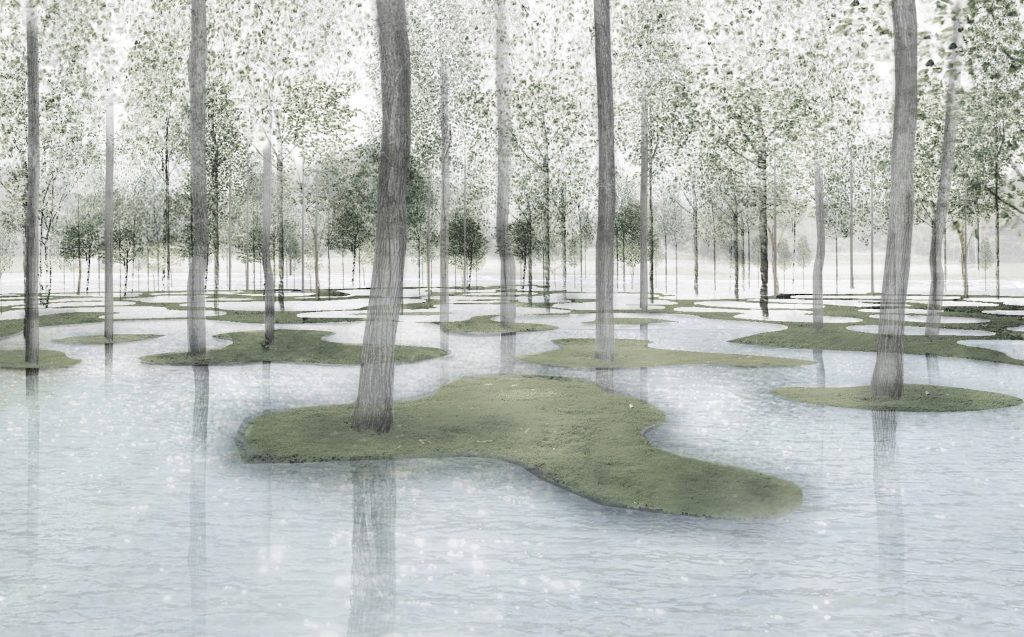 石上纯也，日本栃木县水上公园，建筑边界，junya.ishigami + associates ，石上纯也设计