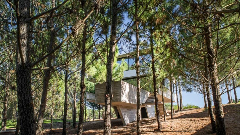 阿根廷，住宅设计，树屋，私人住宅设计，建筑设计，Luciano Kruk