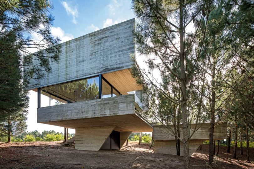 阿根廷，住宅设计，树屋，私人住宅设计，建筑设计，Luciano Kruk