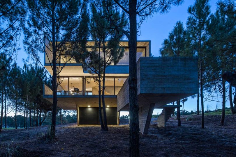 阿根廷，住宅设计，树屋，私人住宅设计，建筑设计，Luciano Kruk