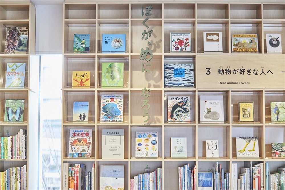 公共空间，安藤忠雄，图书馆设计，大阪，国外图书馆设计，混凝土建筑