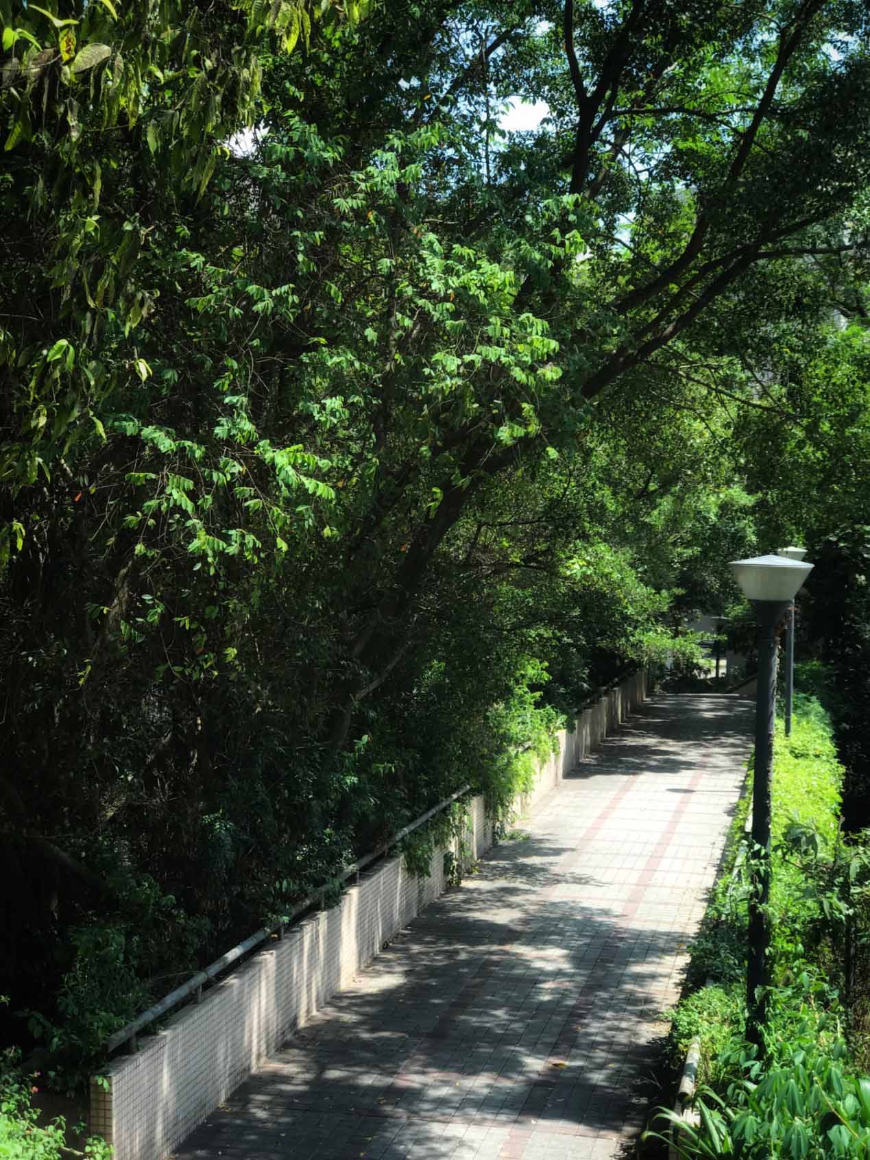 一乘建筑,深圳华侨城燕晗高地：对话与重生,一乘建筑设计,一乘建筑作品,建筑改造设计,深圳建筑改造,深圳建筑设计,华侨城燕晗高地,项目投稿