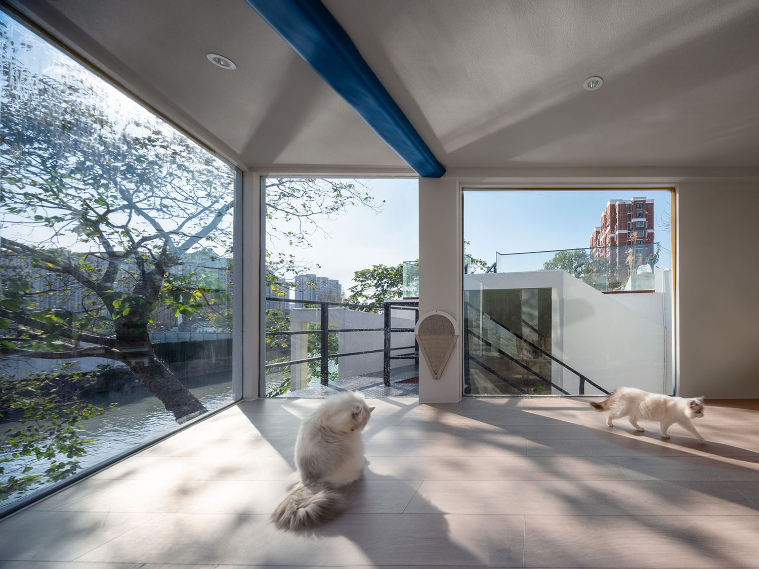猫舍小屋设计,LILITH莉莉斯小屋,上海LILITH莉莉斯小屋,上海猫舍小屋设计,上海猫舍屋设计,宠物店设计,上海宠物店设计,网红宠物店设计,淀川建筑事务所,淀川建筑设计作品,淀川设计