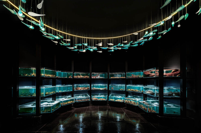 未木空间设计 | 北京有鲲海鲜自助餐厅