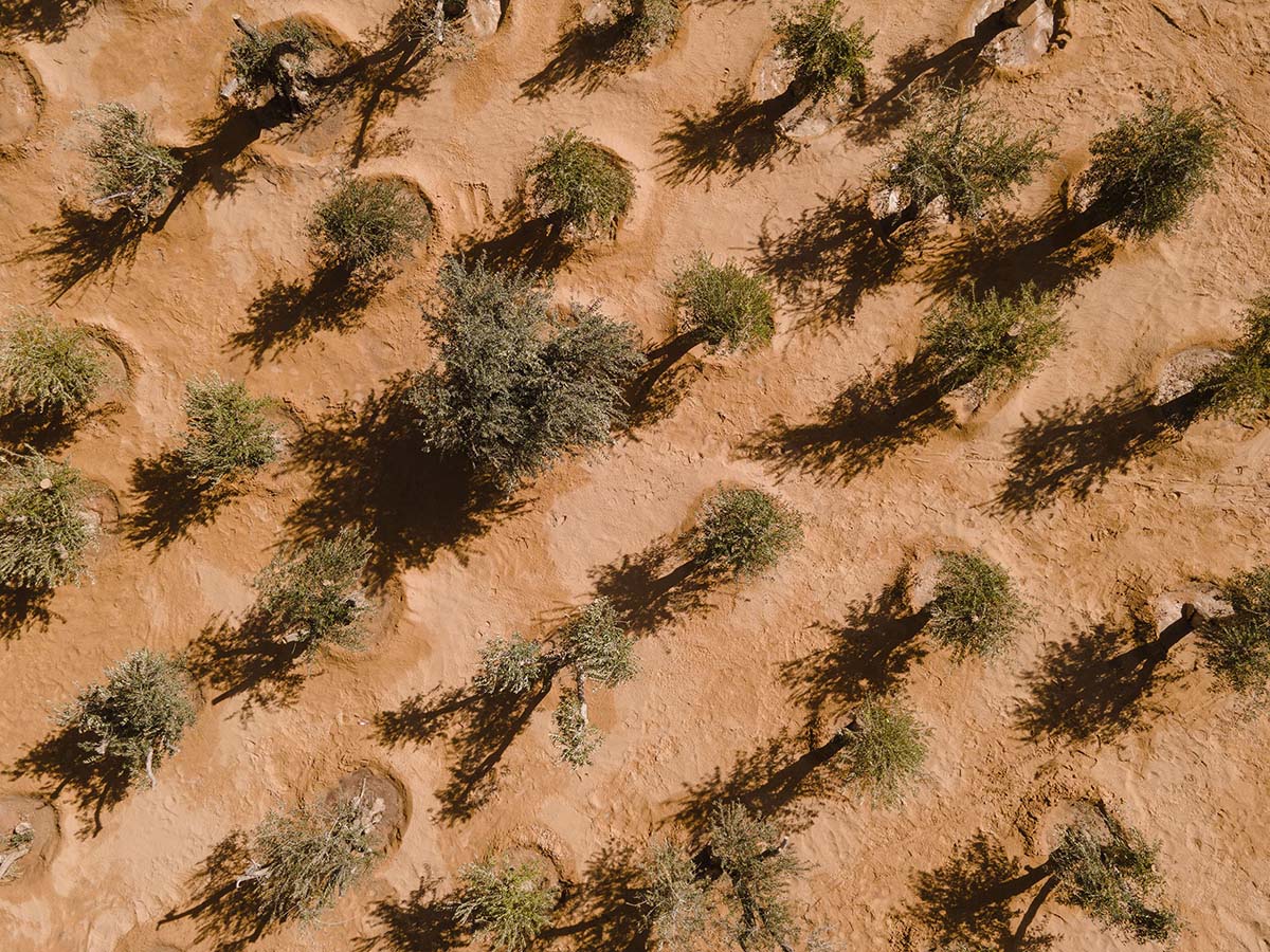 Desert X AlUla,先锋艺术,阿尔穆塔迪尔山谷AlUla 展,艺术展,国外艺术展, Desert X,展览设计