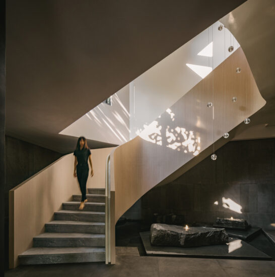 Czarl Architects | 990㎡，新加坡极致无边际空中泳池，高级轻奢别墅