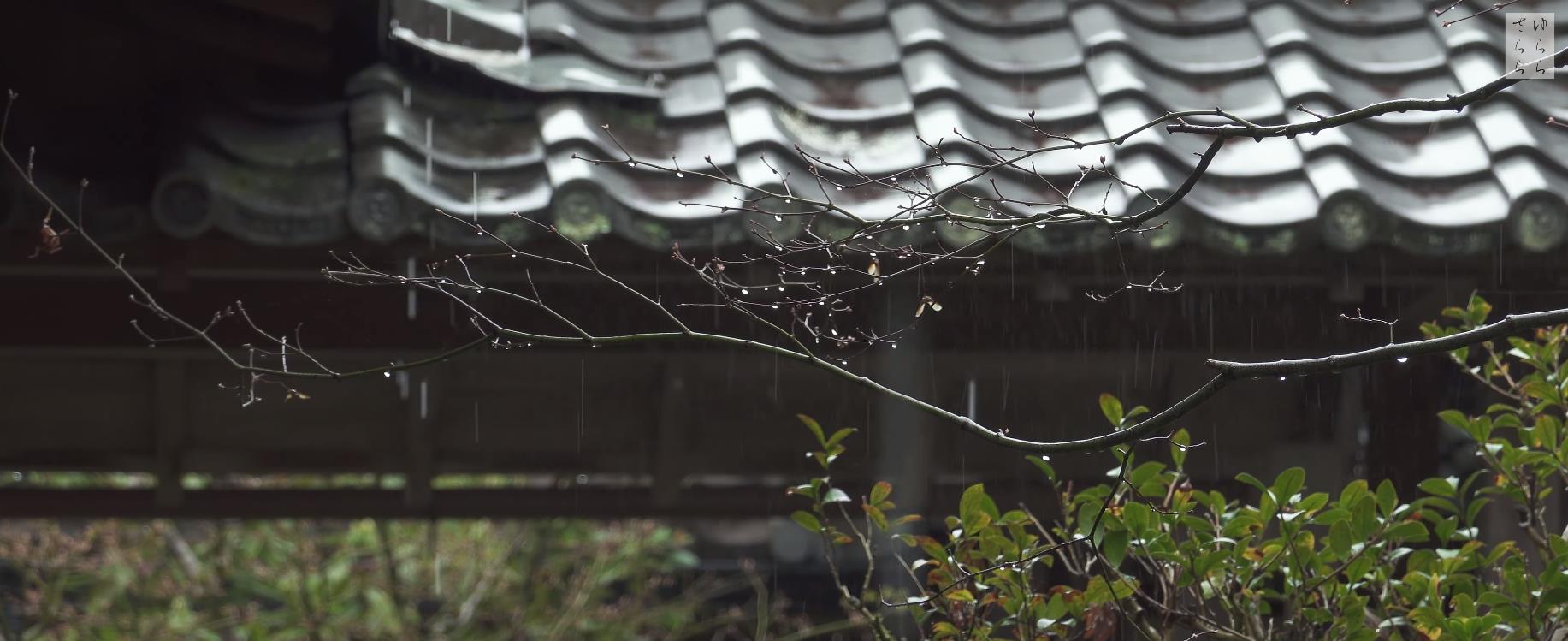 Wabi-Sabi-侘寂庭院,侘寂庭院,安楽寺・京都,侘寂设计,安楽寺,ANRAKU-JI GARDEN,侘寂视频下载,日式侘寂庭院