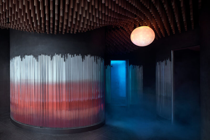 FormaFatal | 155㎡，捷克布拉格MPP自然医学研究所-SPA诊疗