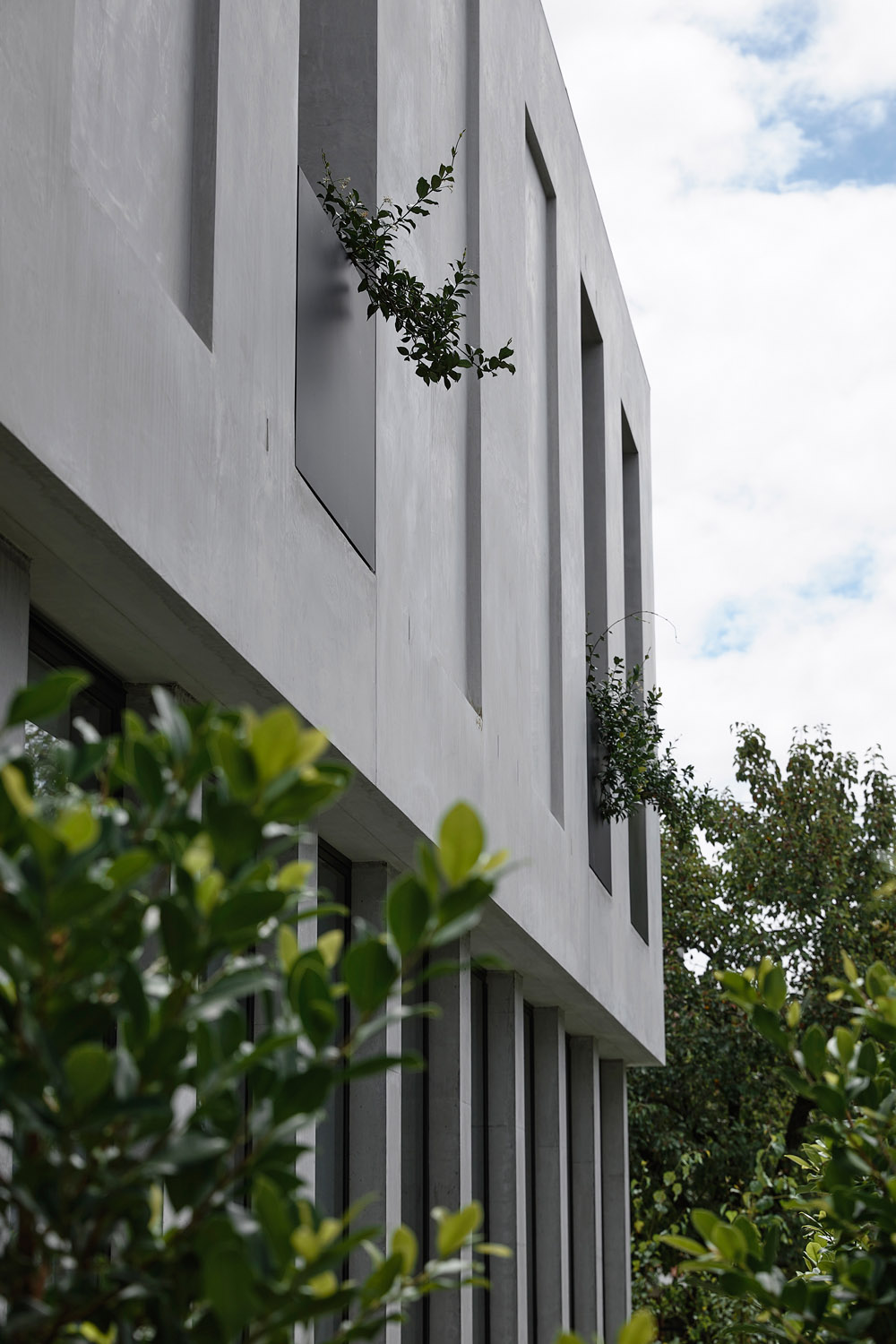别墅设计,别墅设计案例,Inglis Architects,澳大利亚,国外别墅设计案例,别墅装修,庭院别墅
