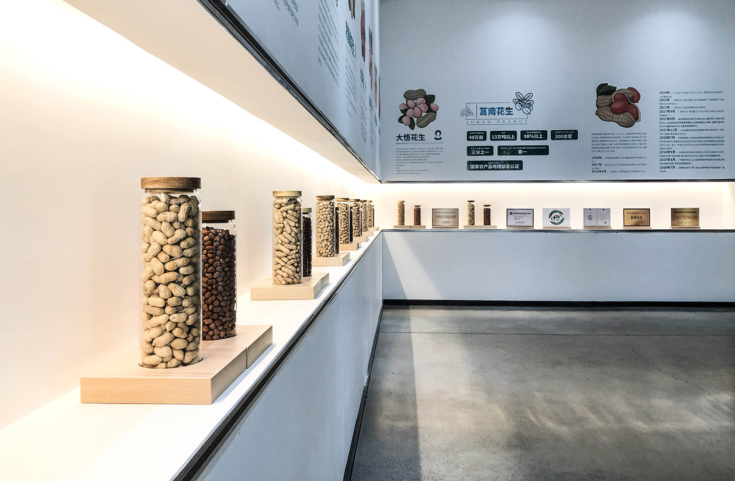 博物馆设计,展馆设计,文化展馆设计,文化展厅设计,展馆设计案例,金胜花生文化博物馆,花生文化博物馆,莒南金胜花生文化博物馆,莒南博物馆,借光建筑,珠海借光建筑,借光建筑设计