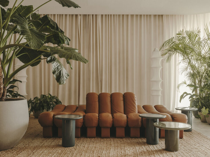 OSKAR KOHNEN | 西班牙伊维萨岛精品度假酒店-THE STANDARD