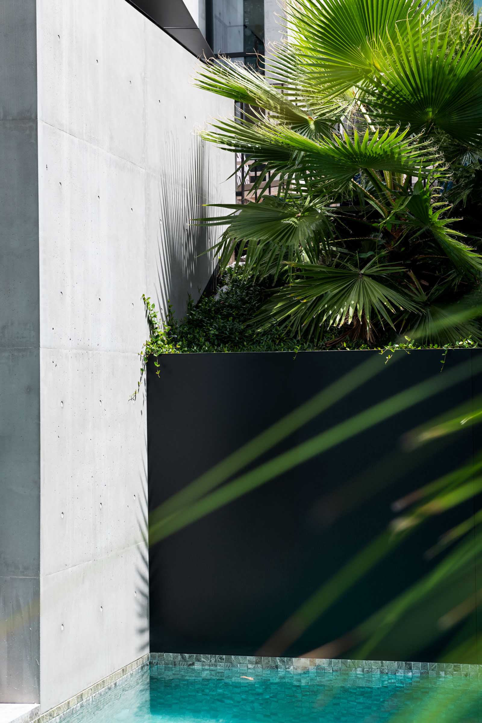 别墅设计,清水混凝土,NTF Architecture,别墅改造设计,国外别墅设计案例,澳大利亚,南亚拉