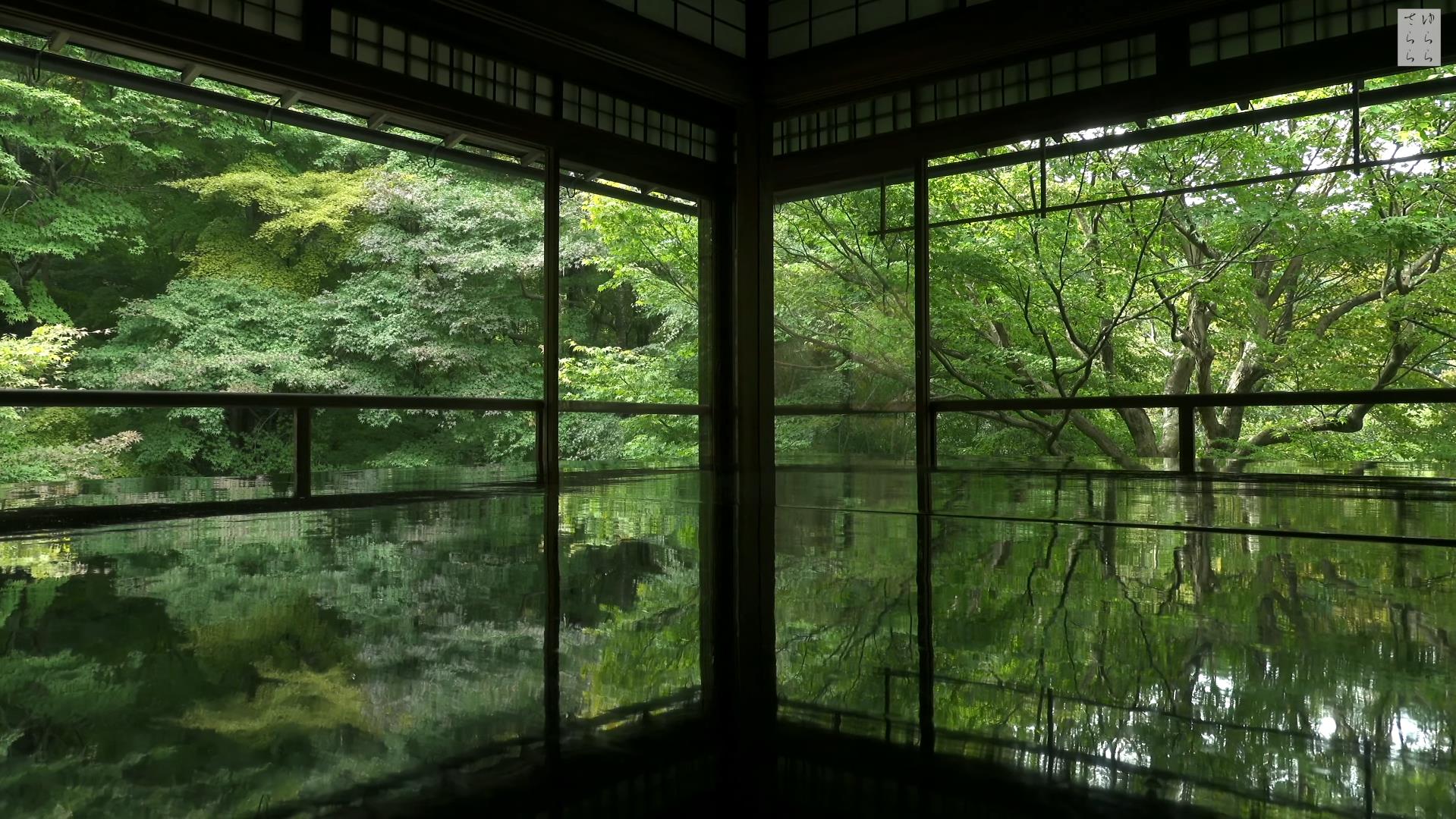 Wabi-Sabi-侘寂庭院,侘寂庭院,京都,侘寂设计,侘寂视频下载,日式侘寂庭院,瑠璃光院