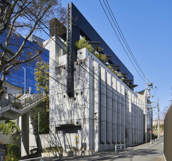 moss. | 日本涩谷Kuwasawa Design School 桑泽设计学院