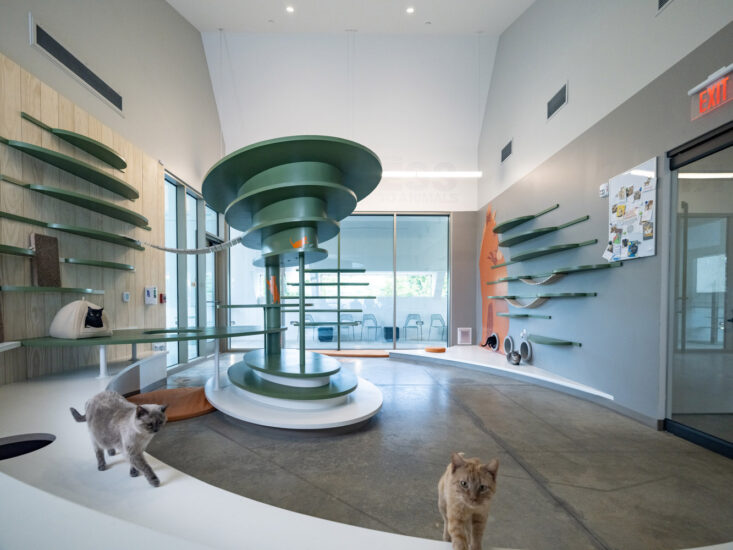 RA-DA | 美国本顿维尔宠物收容中心+宠物诊所