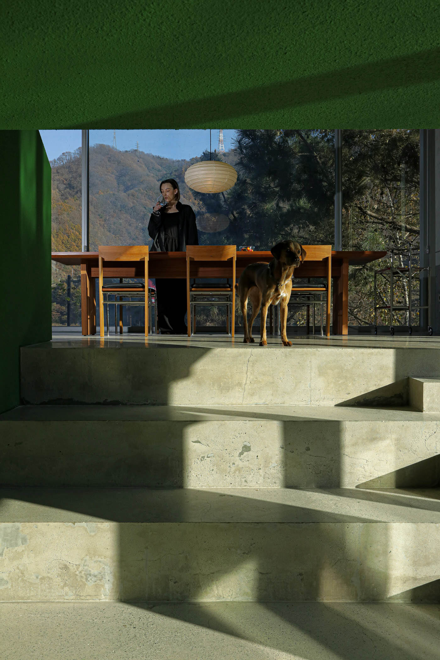 JOONGHO CHOI STUDIO,别墅设计案例,别墅设计方案,韩国,河景别墅,绿色,清水混凝土